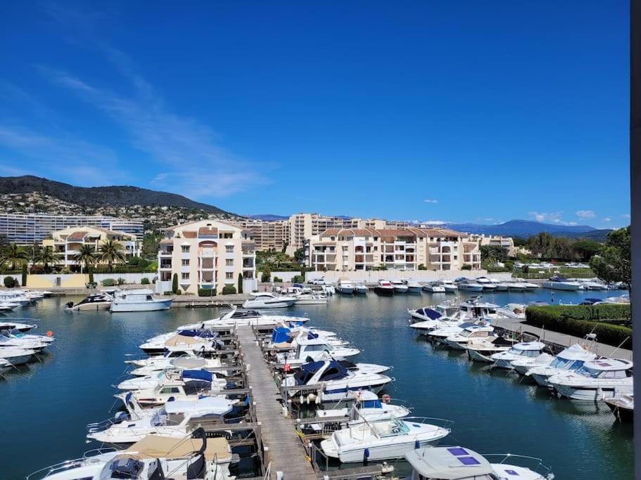 Ginkgo Studio - Piscine, Proche De La Mer, Golf, Wifi Mandelieu La Napoule Bagian luar foto